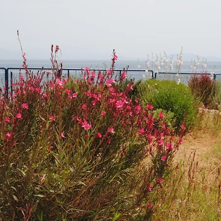 Andromachi Apartmán